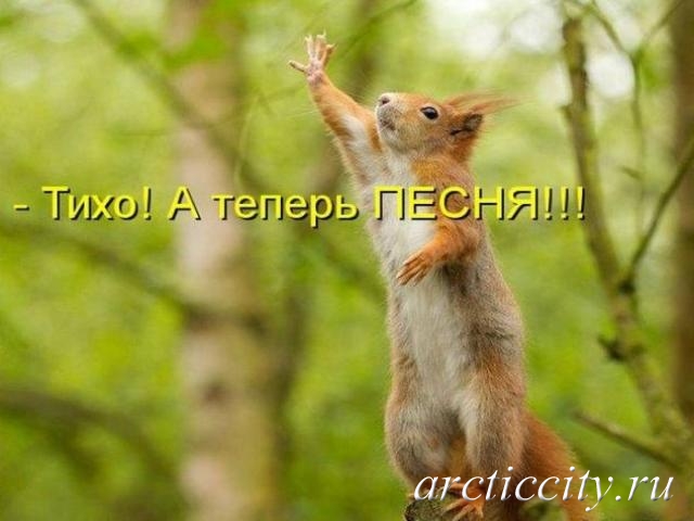� ������ �����!
